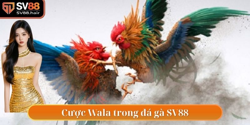 Kèo cược Wala có tại đá gà SV88