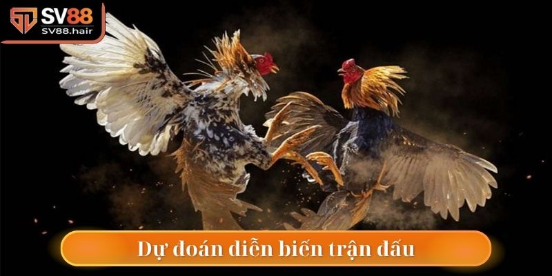 Dự đoán theo diễn biến của trận đấu cùng SV88